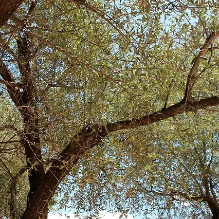 I Caselli Porto Vecchio Lecci